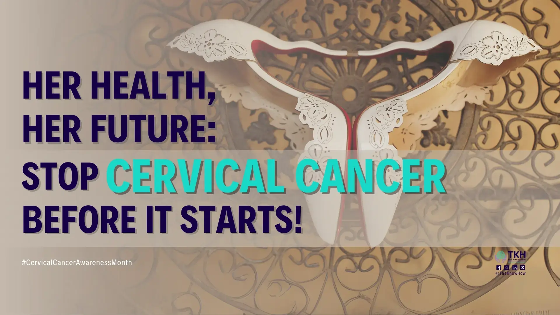 A doctor discussing cervical cancer prevention with a patient, emphasizing early screening and vaccination to stop cervical cancer.