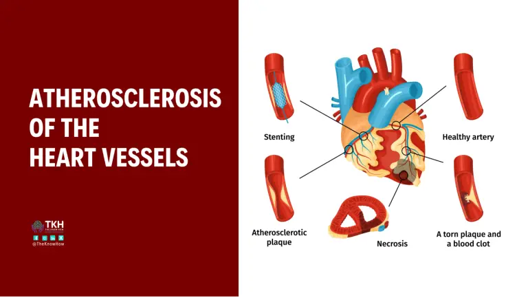 Memorable cardiology quotes - inspirational heart health wisdom and medical insights